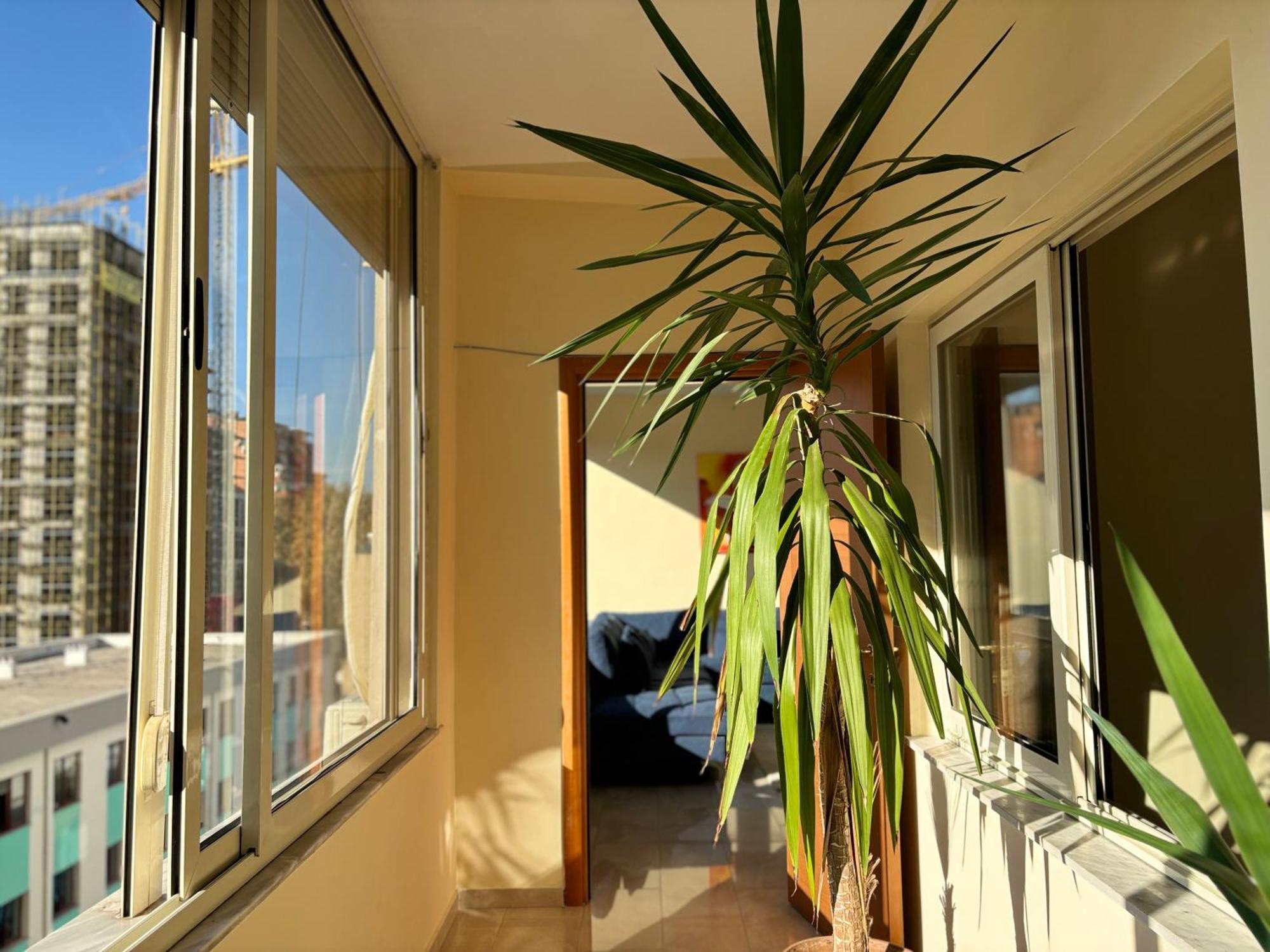 Tam 2Bdr Center Taiwan Apartment 티라나 외부 사진